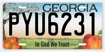 GA license plate PYU6231