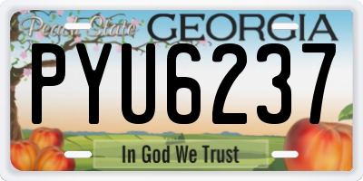 GA license plate PYU6237