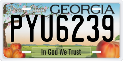 GA license plate PYU6239