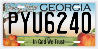GA license plate PYU6240
