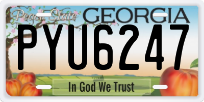 GA license plate PYU6247