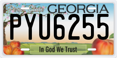 GA license plate PYU6255