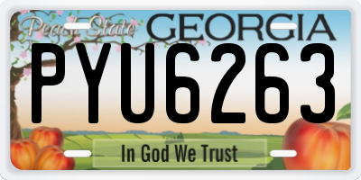 GA license plate PYU6263