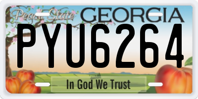 GA license plate PYU6264