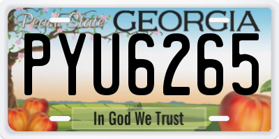 GA license plate PYU6265