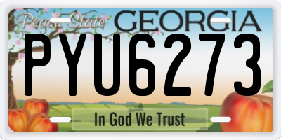 GA license plate PYU6273