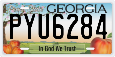 GA license plate PYU6284