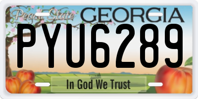 GA license plate PYU6289