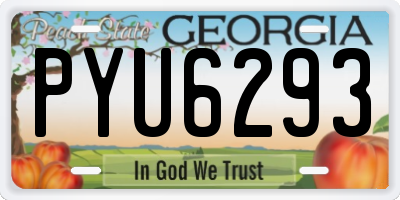 GA license plate PYU6293
