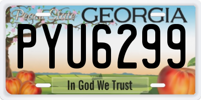 GA license plate PYU6299