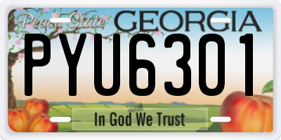 GA license plate PYU6301