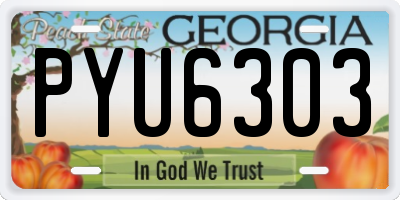 GA license plate PYU6303