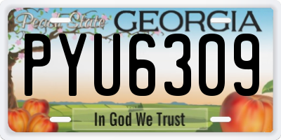 GA license plate PYU6309
