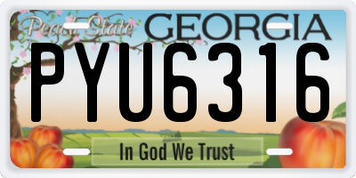 GA license plate PYU6316