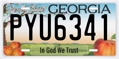GA license plate PYU6341