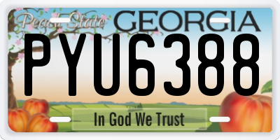 GA license plate PYU6388
