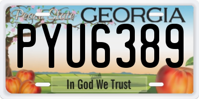 GA license plate PYU6389