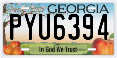 GA license plate PYU6394