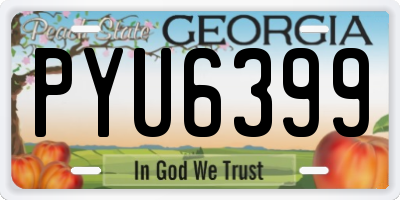 GA license plate PYU6399