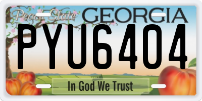 GA license plate PYU6404