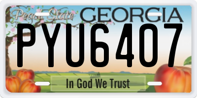 GA license plate PYU6407