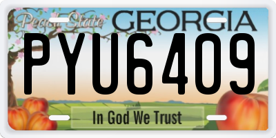 GA license plate PYU6409