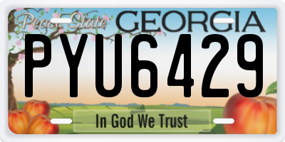 GA license plate PYU6429