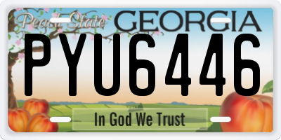 GA license plate PYU6446