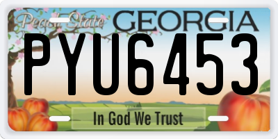 GA license plate PYU6453