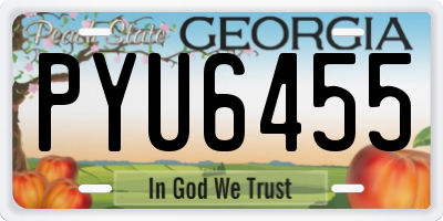 GA license plate PYU6455