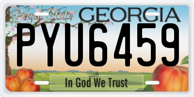 GA license plate PYU6459