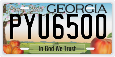 GA license plate PYU6500