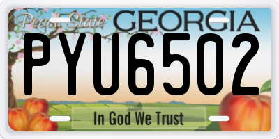 GA license plate PYU6502