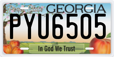GA license plate PYU6505