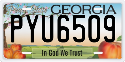 GA license plate PYU6509