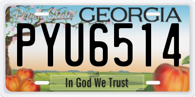 GA license plate PYU6514