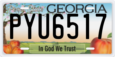 GA license plate PYU6517