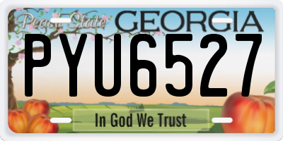 GA license plate PYU6527