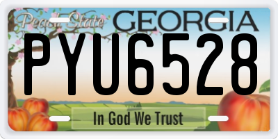 GA license plate PYU6528