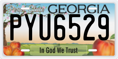 GA license plate PYU6529