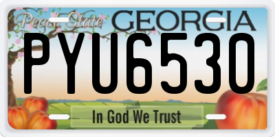 GA license plate PYU6530