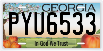 GA license plate PYU6533