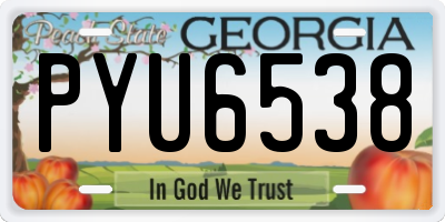 GA license plate PYU6538