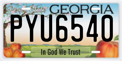 GA license plate PYU6540