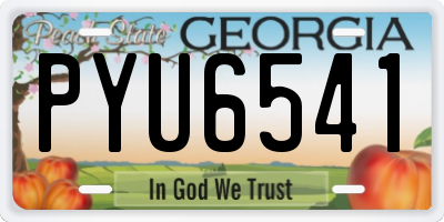 GA license plate PYU6541