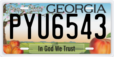 GA license plate PYU6543