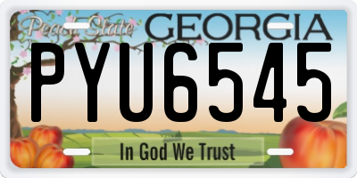 GA license plate PYU6545