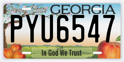 GA license plate PYU6547