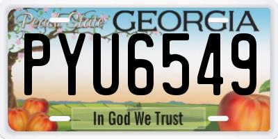 GA license plate PYU6549