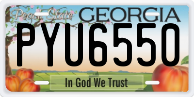 GA license plate PYU6550